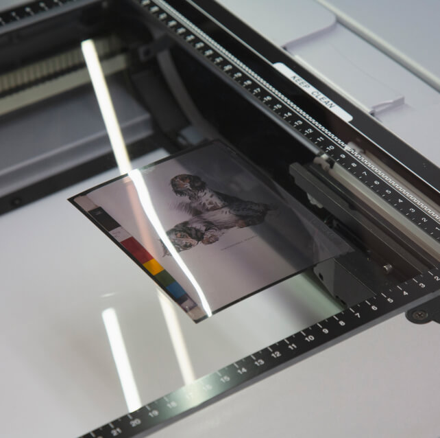 Professional scanning of transparent objects up to 30x40 cm.