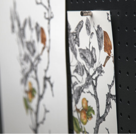 Giclée prints drying and awaiting additional layers